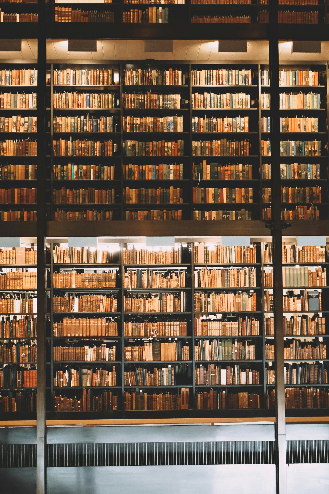 Books on Shelves in Library by Dajana Blakcori is licensed under the Pexels License  
